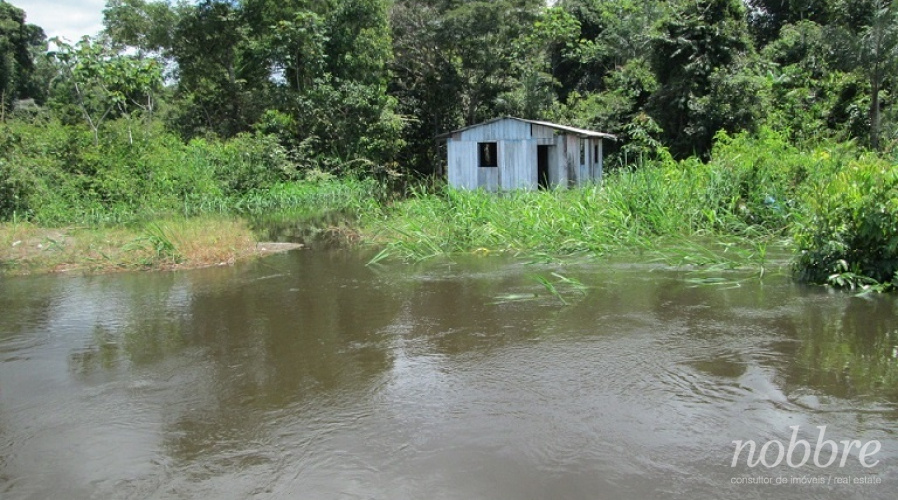 Fazenda para vender em Apuí e Jutaí - Amazonas - Pauini - Santo Antônio do Iça.